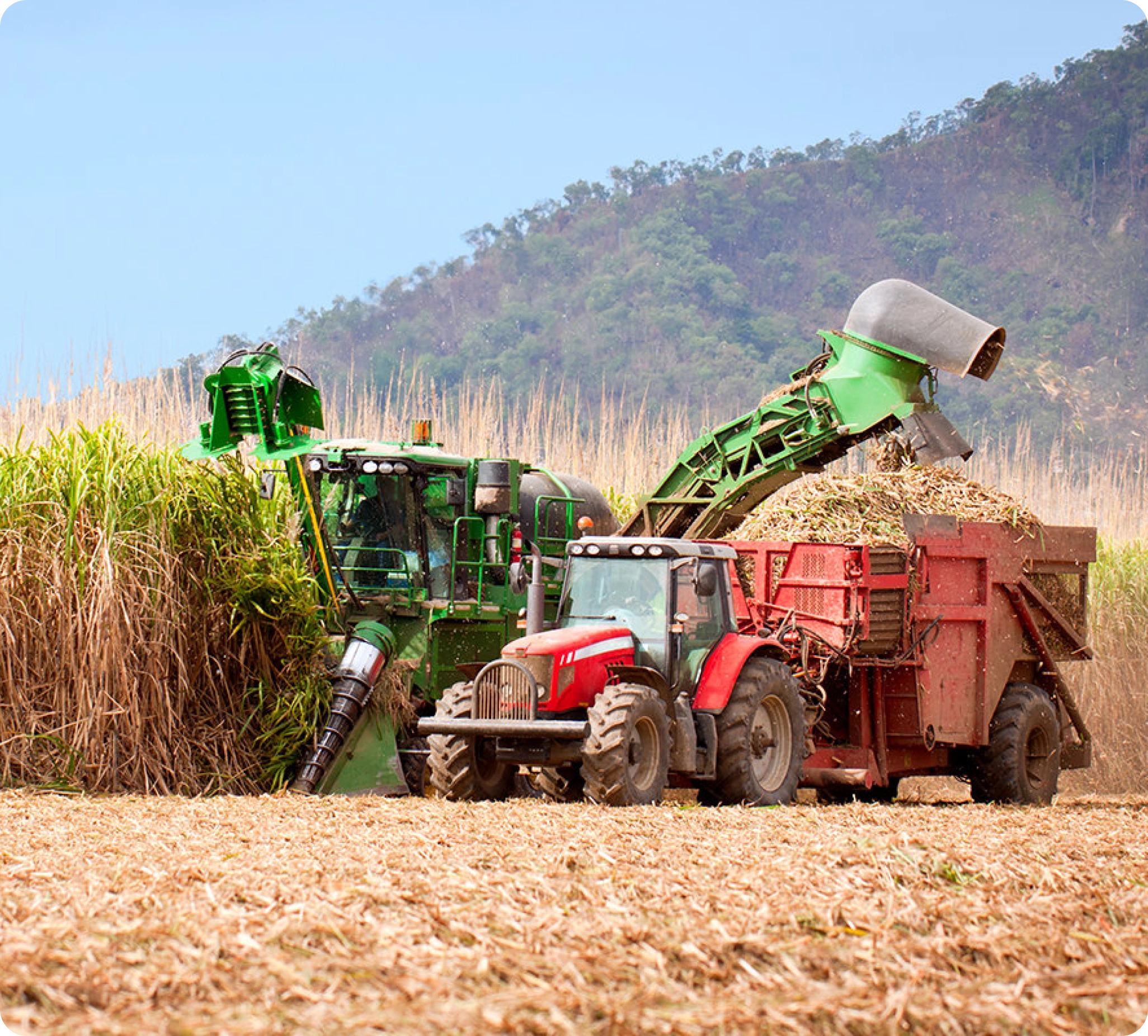 Nzoia Sugar Company
